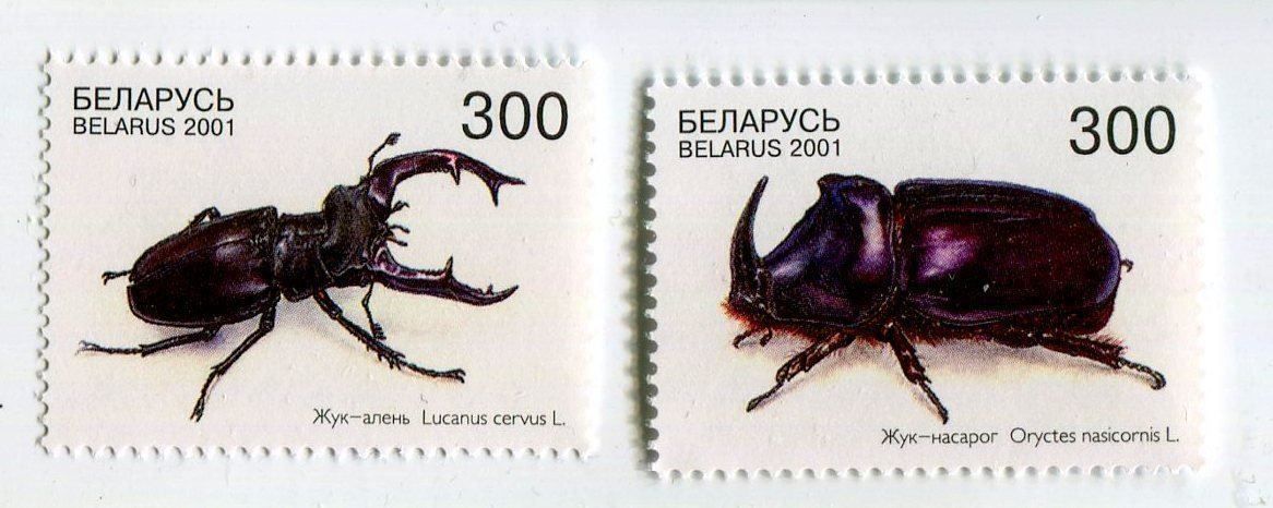 Tutti i francobolli: Briefmarken "Käfer". Weissrussland. – Nuovo e nell'imballaggio originale da Basel venduto da Butsch5