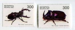 Briefmarken "Käfer". Weissrussland.
