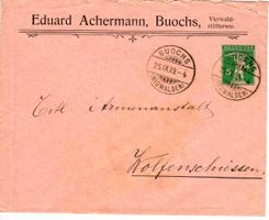 Brief, Ganzsache Eduard Achermann Buochs NW 1909