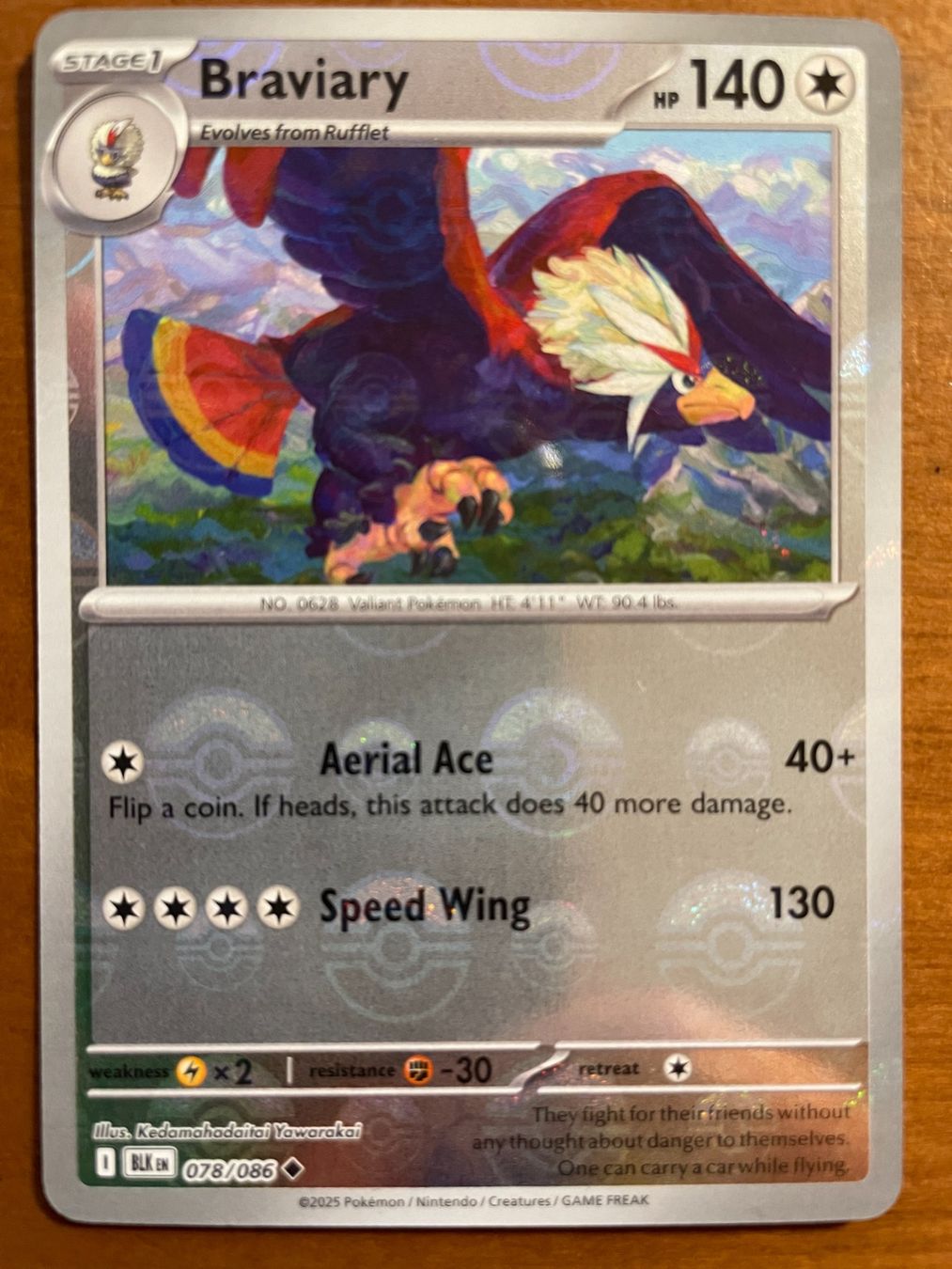 Pokémon Carte collezionabili: Pokemon Braviary Pokeball (Versand gratis) – Nuovo (secondo la descrizione) da Chur venduto da Angerson