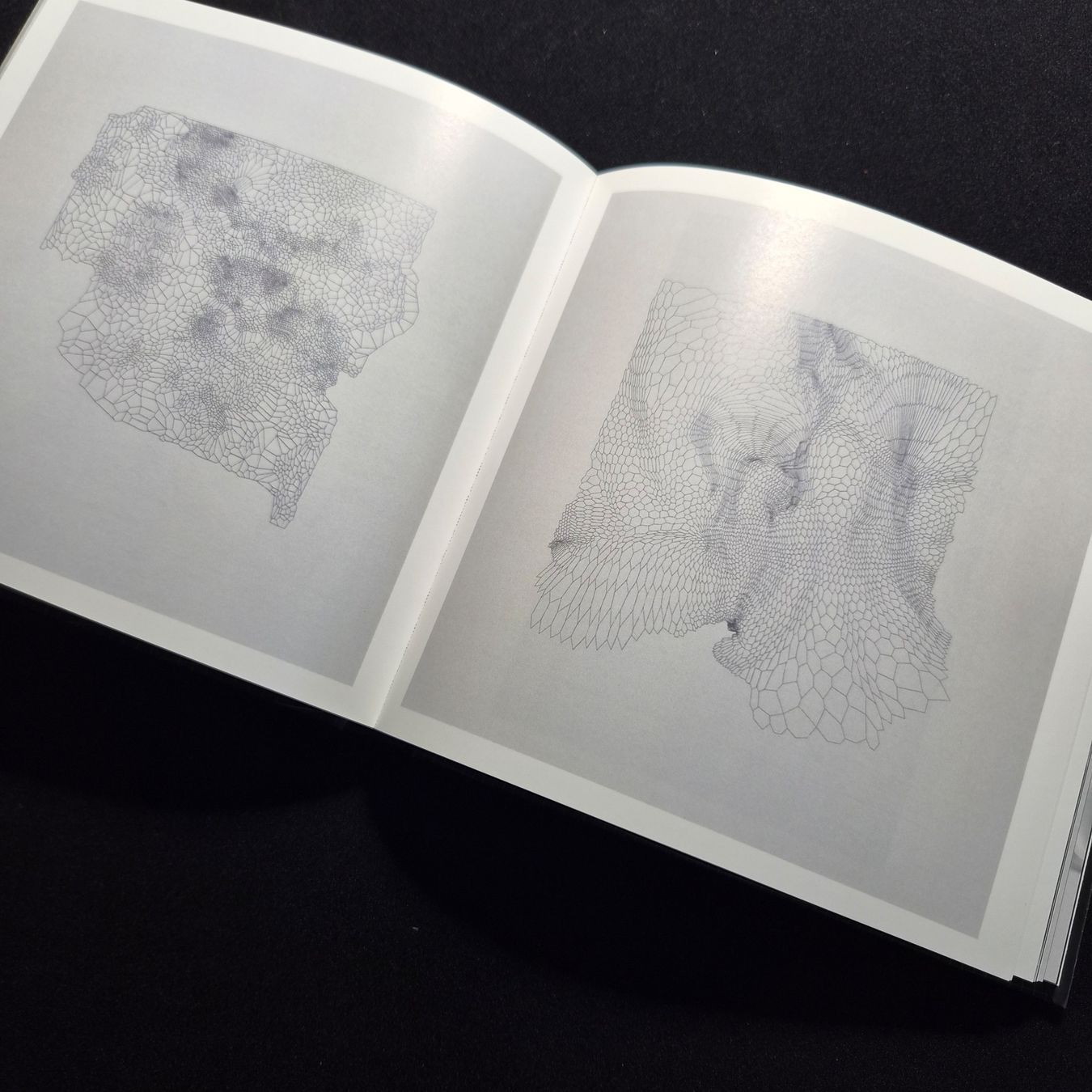 Livres: MURQ, MATT SHILAN – Neuf (Voir description) à freienstein par pointfou 7