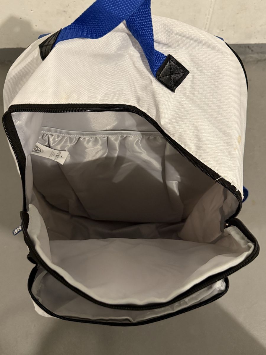 Zaini: Trendiger Team Platin Rucksack, neuwertig – Nuovo (secondo la descrizione) da Kreuzlingen venduto da Fernando1899 2