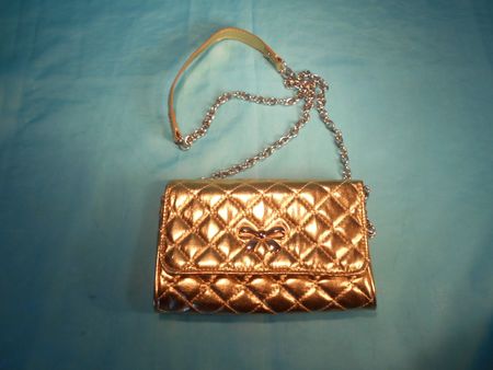 Goldfarbenes Täschchen, Umhängekette, zebra