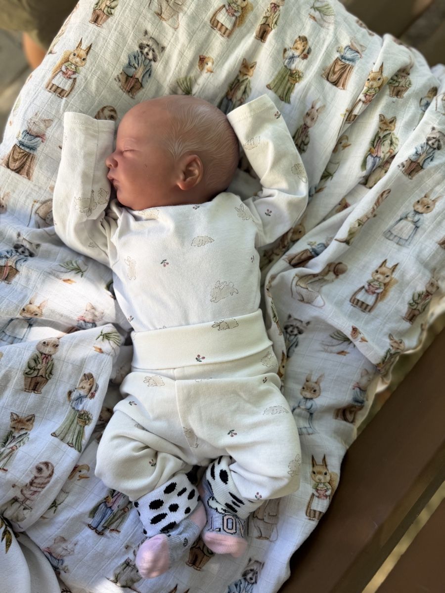 Reborn Puppen: Reborn – Neu (gemäss Beschreibung) aus Unterentfelden von van_m8g7 7