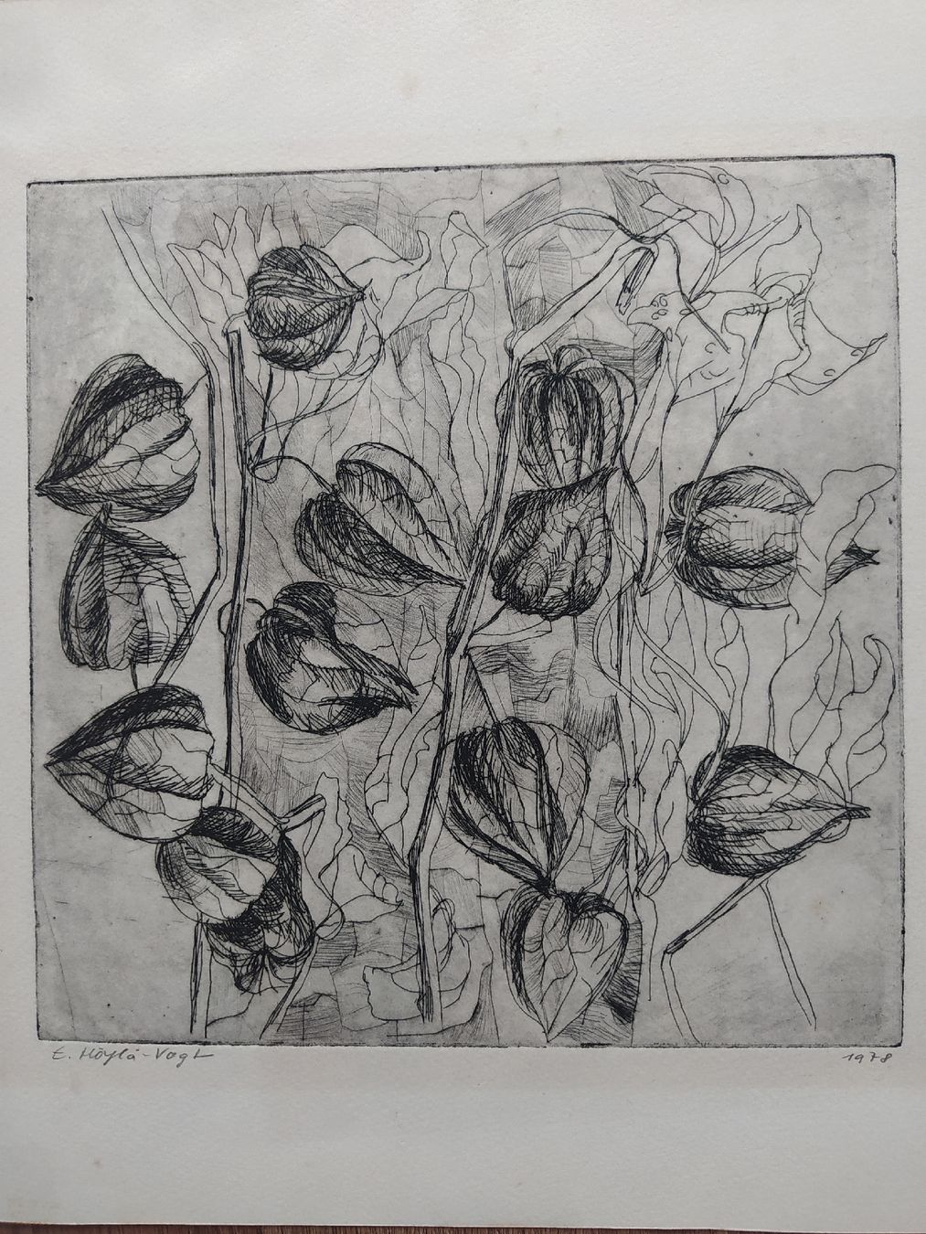Carte collezionabili: Original Etching by E. Höyla-Vogt, Signed & Dated 1978 – Usato da Möhlin venduto da mik_h72m 5