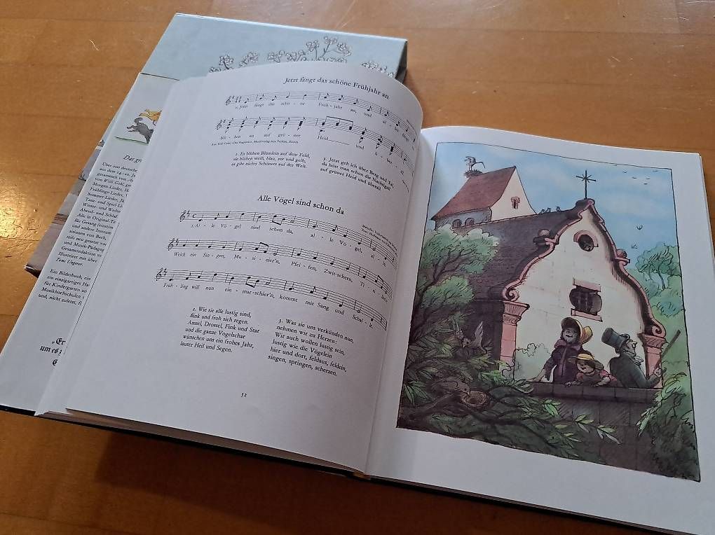 Libri: Das grosse Liederbuch - Diogenes - Gebundene Ausgabe – Usato da Winterthur venduto da 77tigerente 1