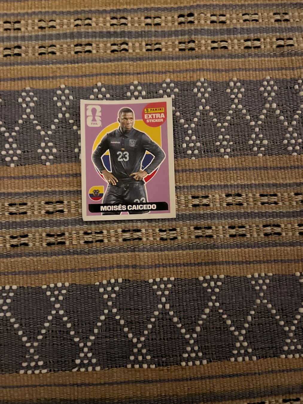 Panini Carte collezionabili: Moises Caicedo Panini Extra Sticker – Usato da Ottikon venduto da Sommerferien19