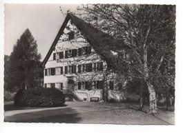 HORGEN Bockengut