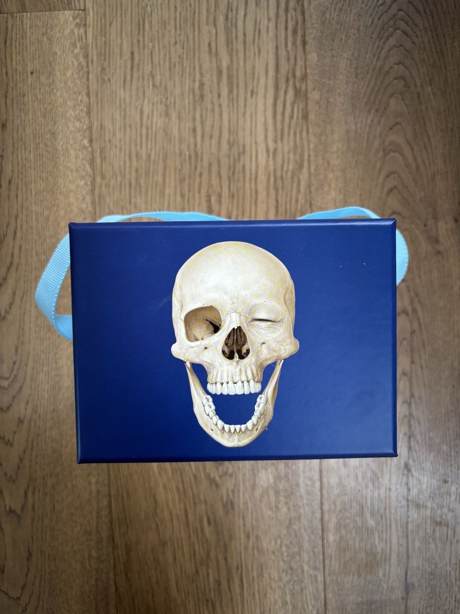 Altro materiale scolastico: Prometheus Lernkarten der Anatomie – Usato da Männedorf venduto da giu_wm6d 1