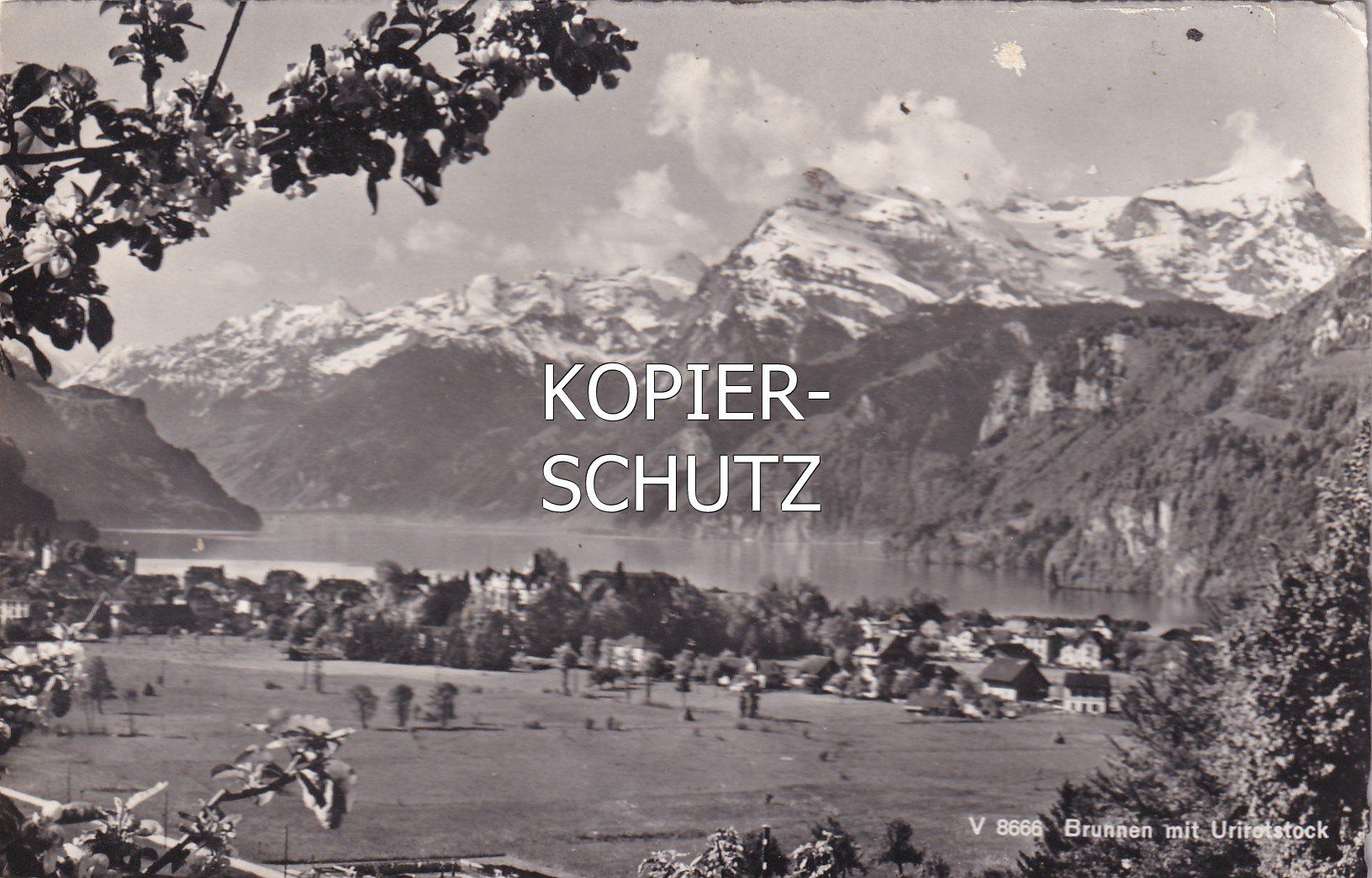 Cartoline postali: Brunnen mit Urirotstock /aw – Usato da Hombrechtikon venduto da Rudolf07
