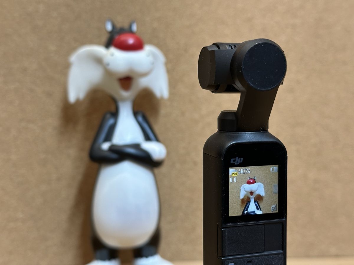 DJI Action Cam: Top! DJI Osmo Pocket 1 – Usato da Zürich venduto da cindy_074