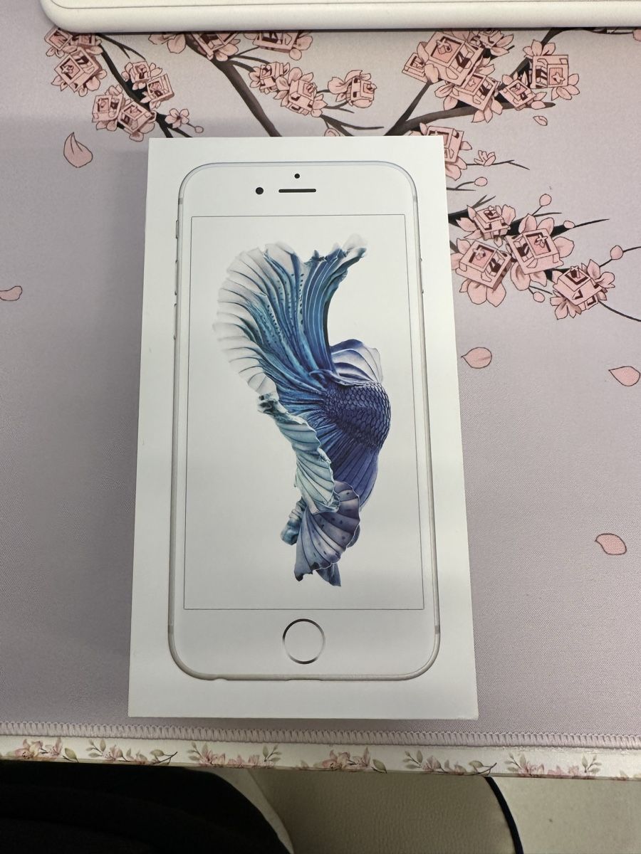 Apple Telefoni cellulari / Smartphones: iPhone 6S – Usato da Uitikon Waldegg venduto da SandrineC02 3