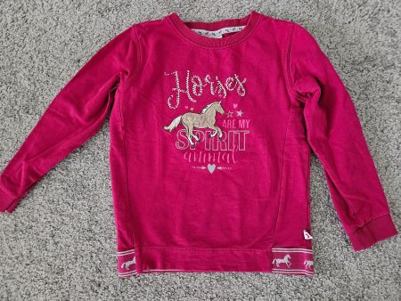 Mädchen Pullover pink Grösse 116/122 Pferde guter Zustand