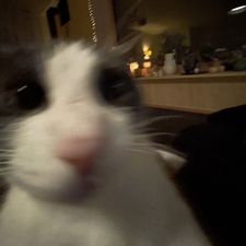 Profile image of nei_c6qq