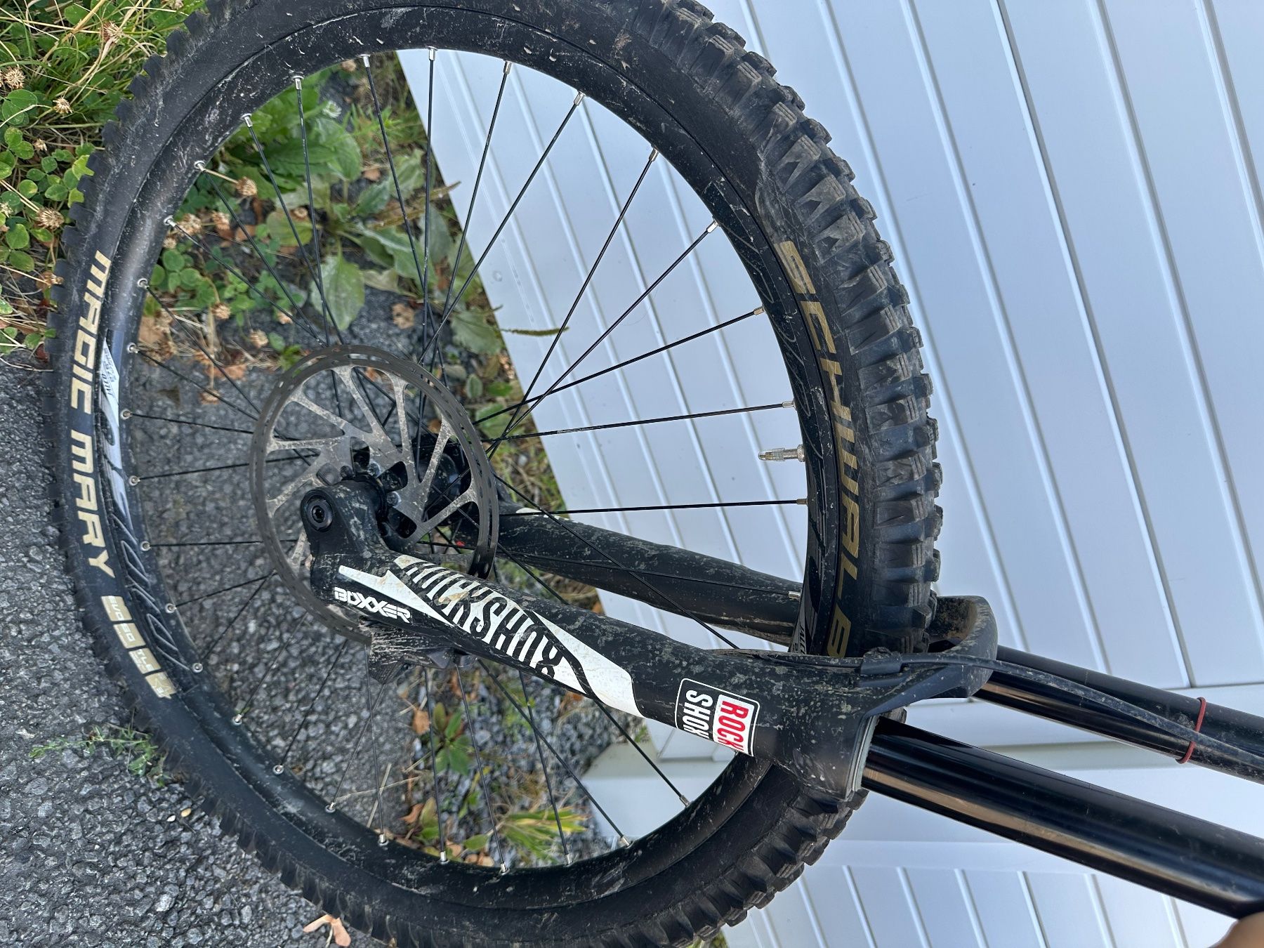 Biciclette: Downhill Bike Devinci Wilson, Grösse M – Usato da Wädenswil venduto da Marcormcdonald 5