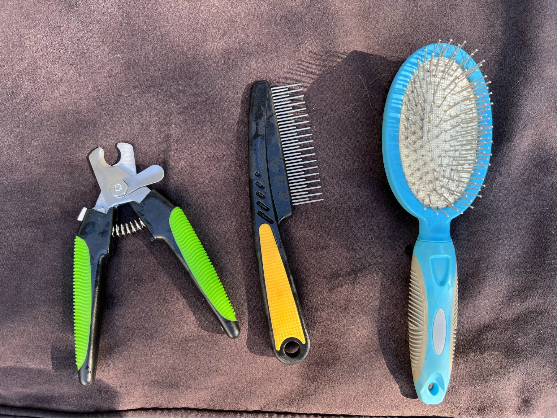 Cucce & Letti: PANIER POUR CHIEN – Usato da Epalinges venduto da ped_6n2z 2