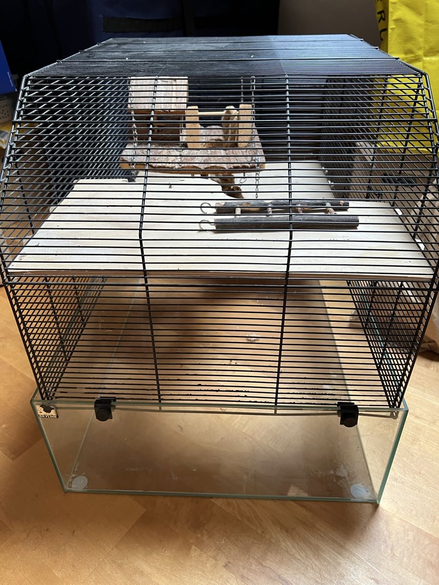 Cages, transport & sécurité: Hamsterkäfig – D'occasion à Grüningen par jomasa 1