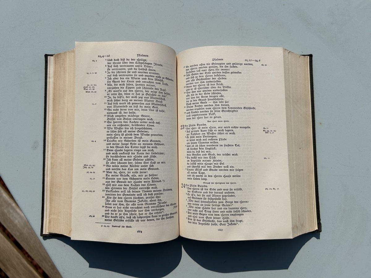 Bücher: Alte, zwinglianische Bibel, ca. 1890 – Gebraucht aus Zürich von Mary8044 3
