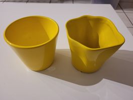 Gelbe Blumentöpfe 10cm x 10cm