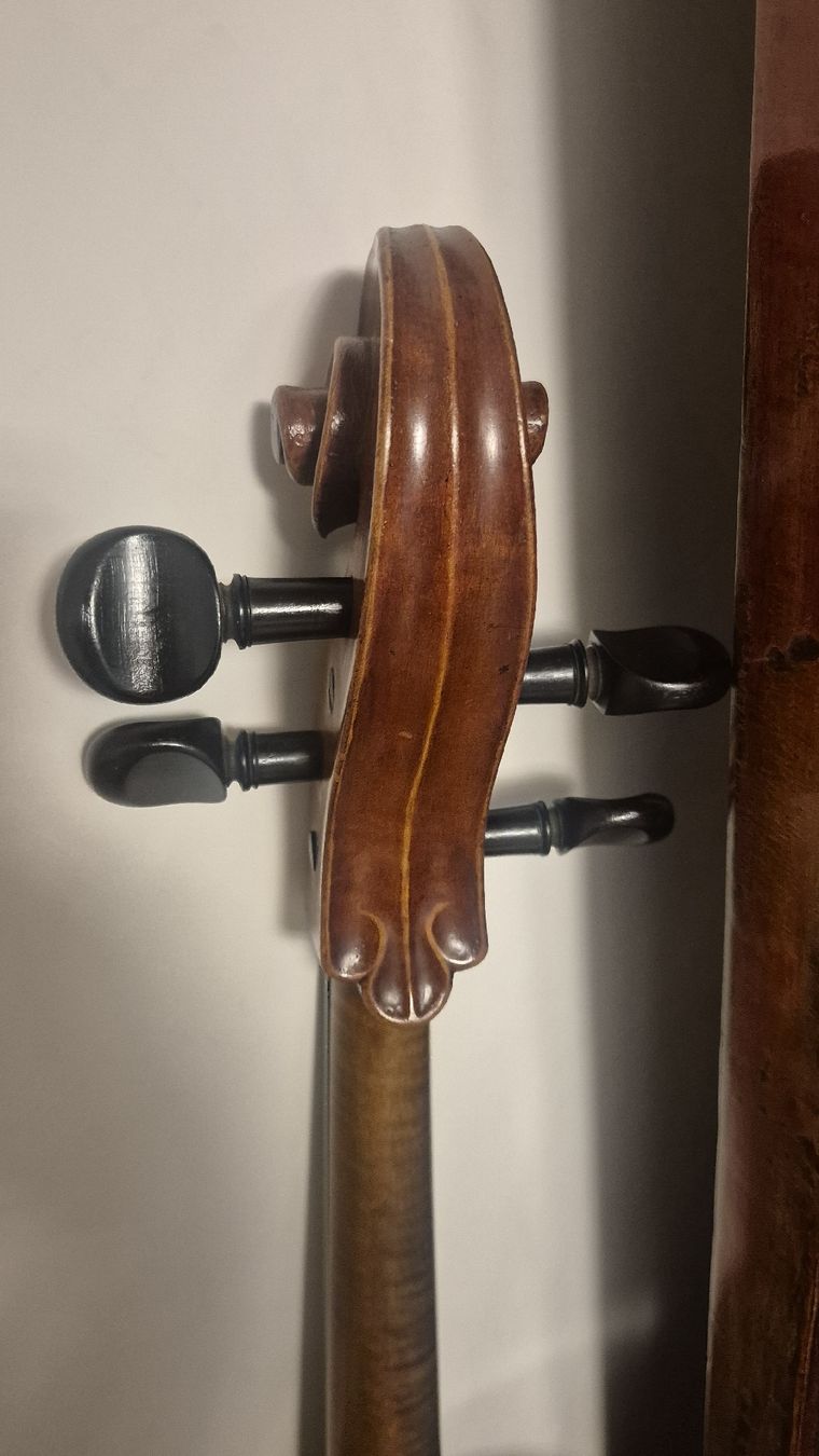 Strumenti musicali: Cello zu Verkaufen – Usato da Rämismühle venduto da beni0010 7