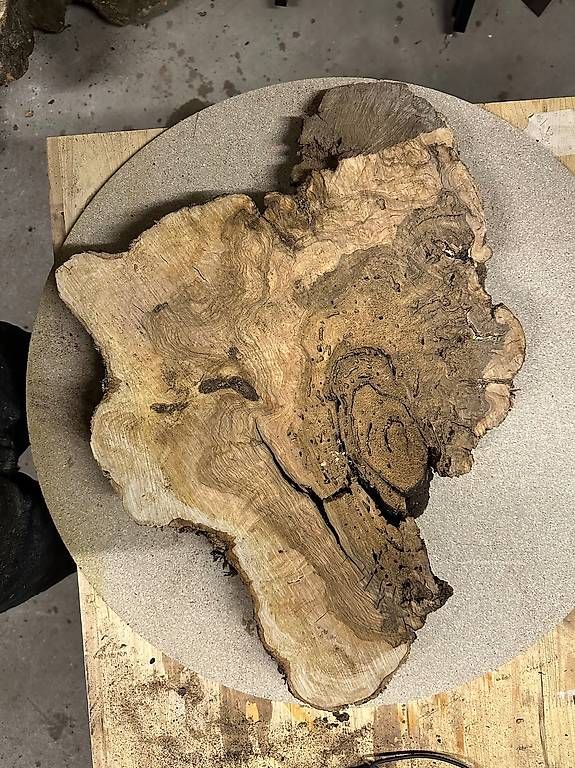 Articles en bois: Olivenholz Baumscheibe - 06 – D'occasion à Buus par macipioji 1
