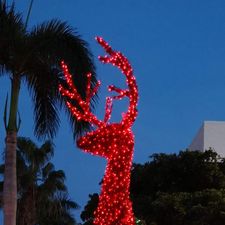 Profile image of Overnight