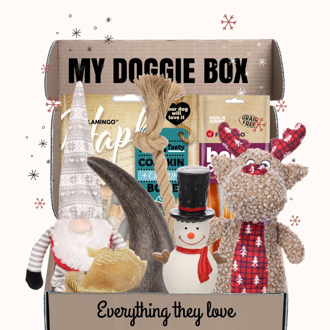 Jouets: Box Jouets Chiens – Neuf avec emballage d'origine à Conches par hel_yyn2