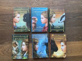 Wildhexe Buchreihe Lene Kaaberbol 6 Bände