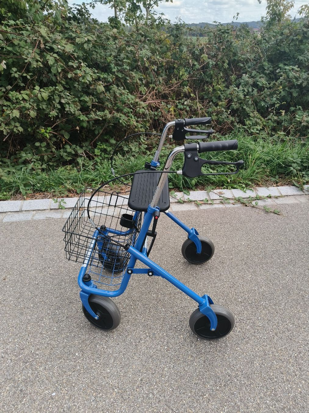 Gehhilfen: Rollator 4-Rad blau mit Einkaufskorb & Ablage – Gebraucht aus Dinhard von jan_mw5v