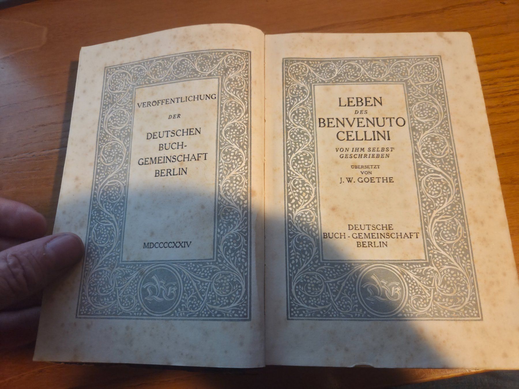 Libri: Cellini – Leben – Goethe – Halbleder 1924 – Usato da Aldesago venduto da lusuardi 4