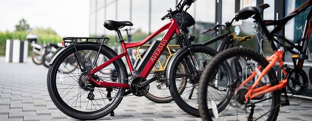 Biciclette: AVERSUS City Runner 29" E-Bike !Aktionspreis bis 31.08.2026! – Usato da Oftringen venduto da AversusBikestore
