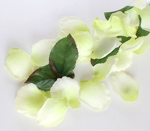Tutte le decorazioni: Rosenblätter weiss – Nuovo (secondo la descrizione) da Schlatt TG venduto da kreativ-atelier 1