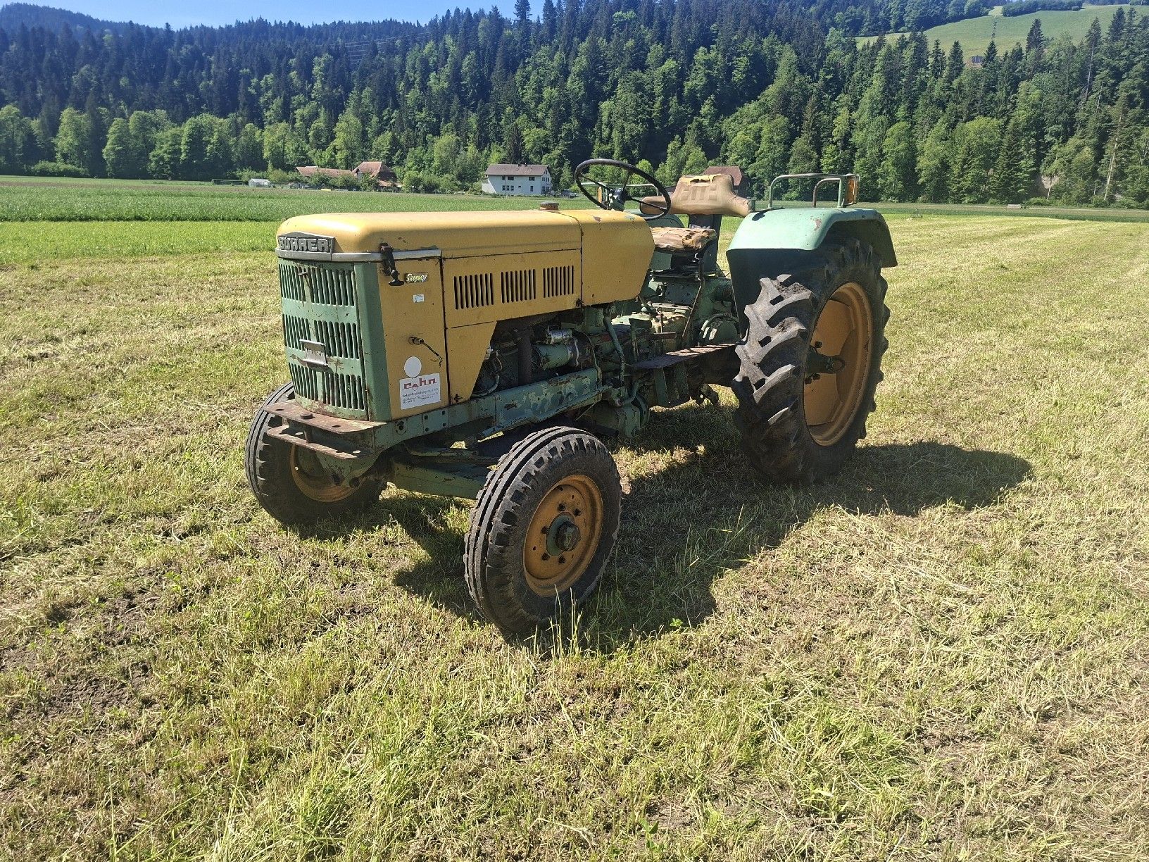 Bührer Trattori: Bührer PF18 – Usato da Aeschau venduto da Elu2000