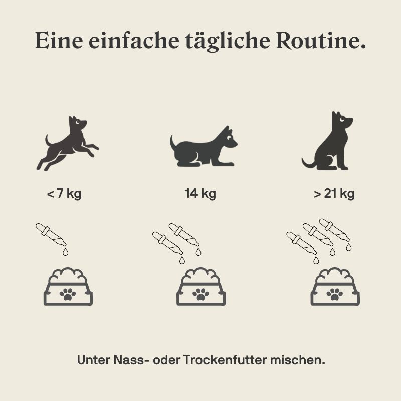 Cibi & Specialità: 2x Stylla Calmness (Hund) – Nuovo e nell'imballaggio originale da Burgdorf venduto da Talora 5