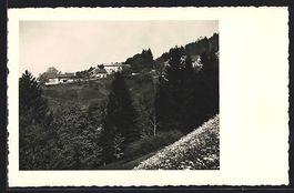 Schmidrüti-Wila /Zürich, Ferienkolonie