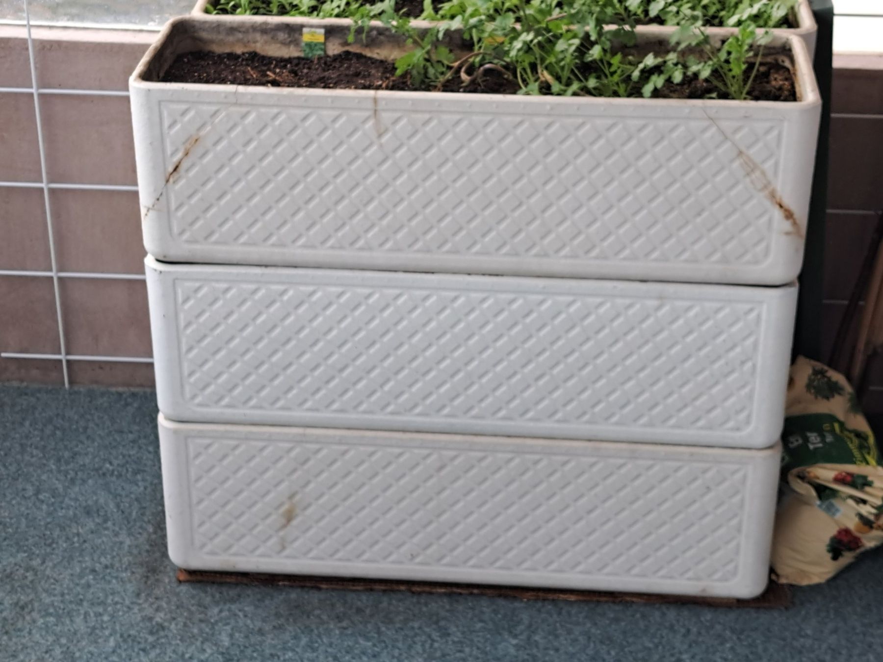 Eternit Blumentöpfe: 6 Stück Balkon oder Mauer Blumenkistli – Gebraucht aus Wald ZH von baumih