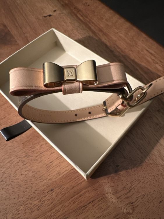 Up Country Hundehalsband, Größe M, 1 Zoll Breit – Nylon, Messing-Schnalle