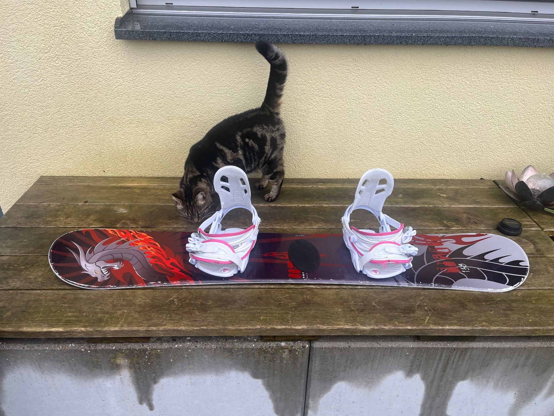 Boards: Snowboard Firefly Dragon 138 mit Bindung gebraucht – Gebraucht aus Schönenbuch von LCMR 4