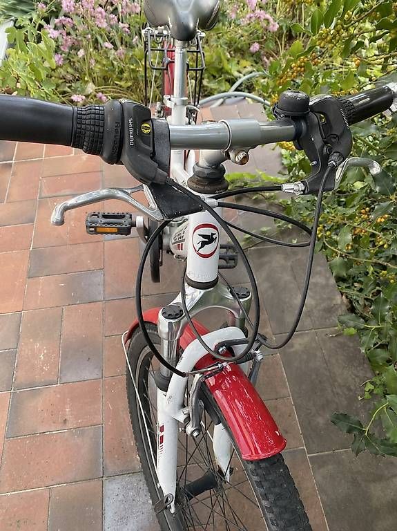 Velos: Velo Pegasus avanti Kind – Gebraucht aus Basel von 12Glory 2