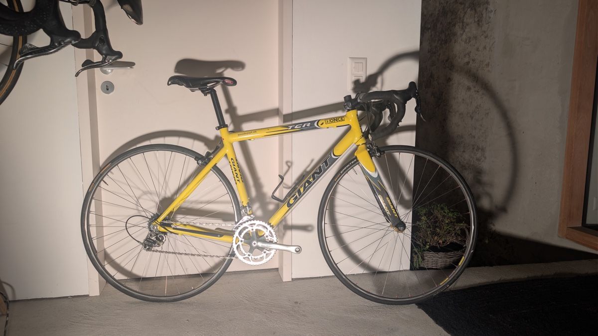 Giant Biciclette: Giant TCR Campagnolo – Usato da Lostorf venduto da Simcom2