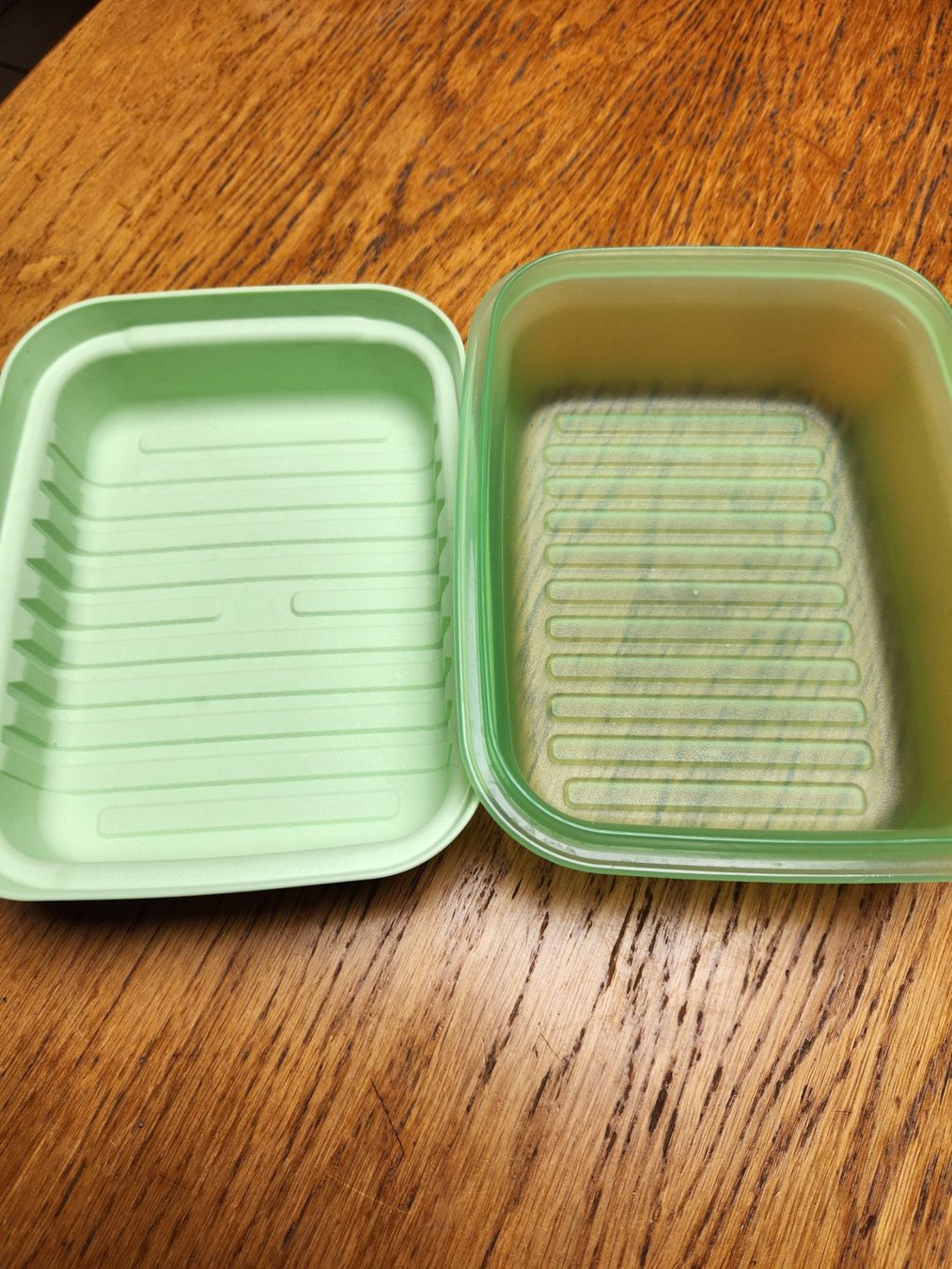 Tupperware Behälter & Ähnliches: Tupperware Kühlschrankbehälter Neu hellgrün – Neu (gemäss Beschreibung) aus Gstaad von Kuhstall-2026 1