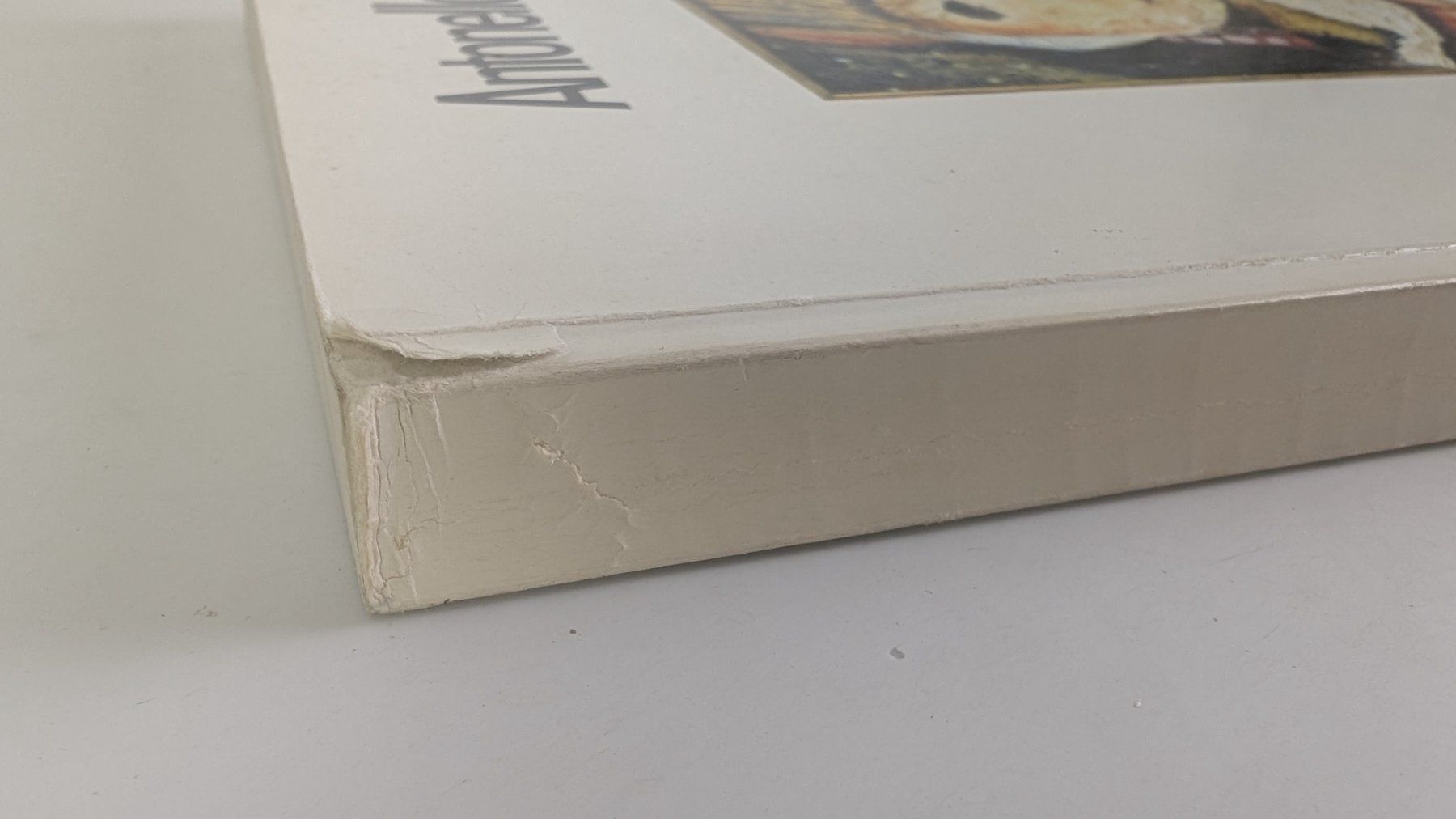 Libri: Antonella - Bolliger Savelli, Kunstbuch, Signiert&Nummeriert – Usato da Zürich venduto da axolottchen 6