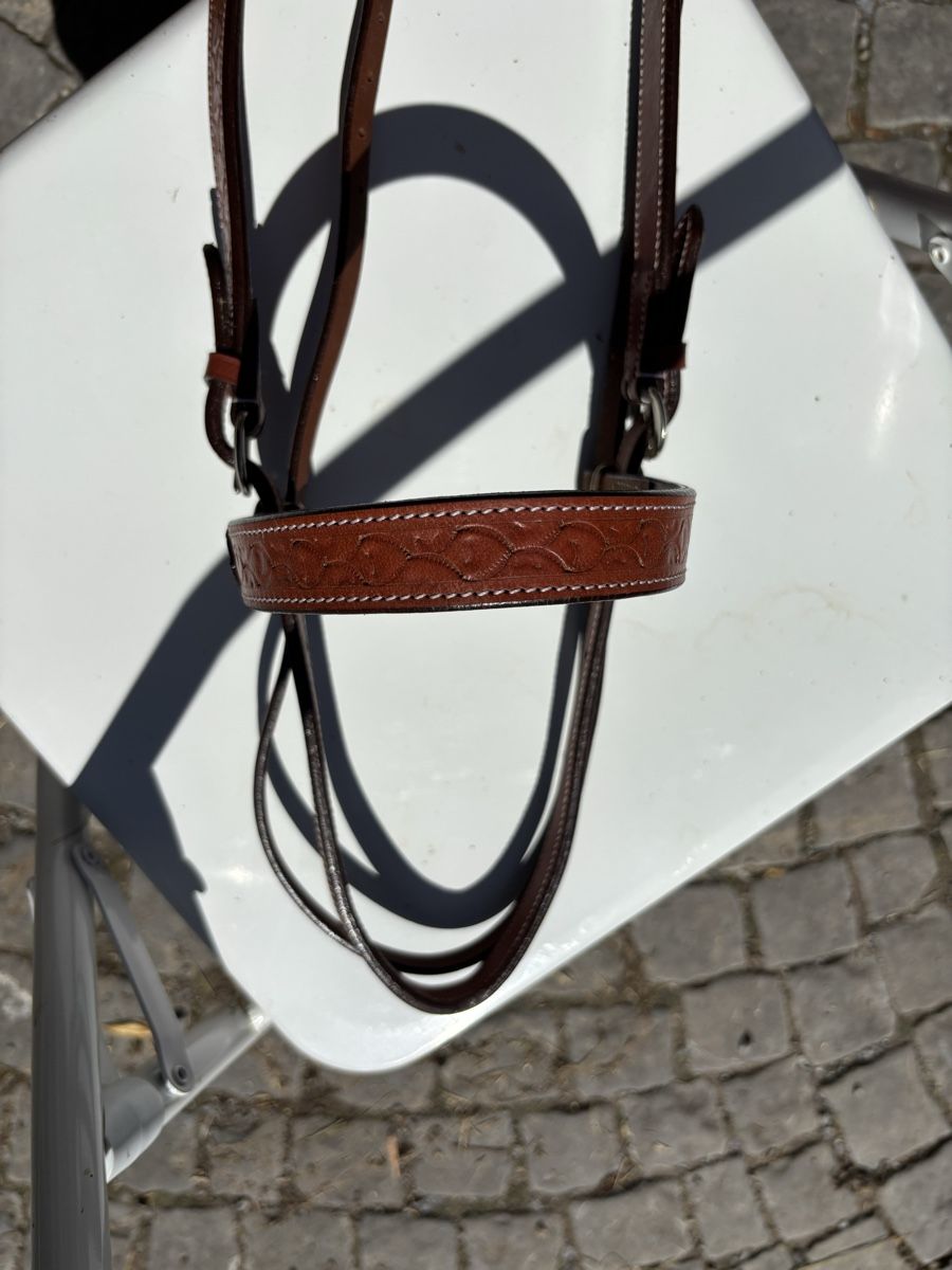 Zaumzeug & Halfter: Zaum – Gebraucht aus St. Gallen von may_8fbd 3