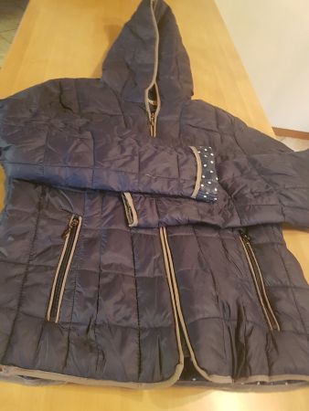 Veste légèrement doudoune, capuchon taille L marque DJ85°C