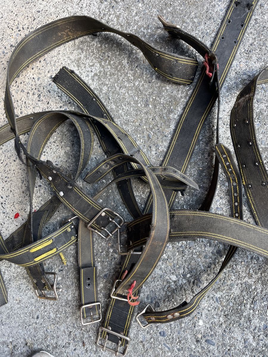 Campanacci mucche: Glocken Riemen 9 Stk – Usato da Brienz BE venduto da hey_z9vg 2