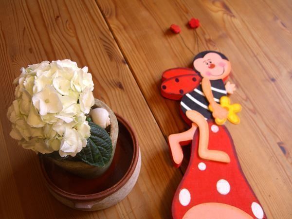 Tutte le decorazioni: herzige Deko f.d.Garten o.d.Kinderzimmer – Nuovo (secondo la descrizione) da Winterthur venduto da Gaia 2