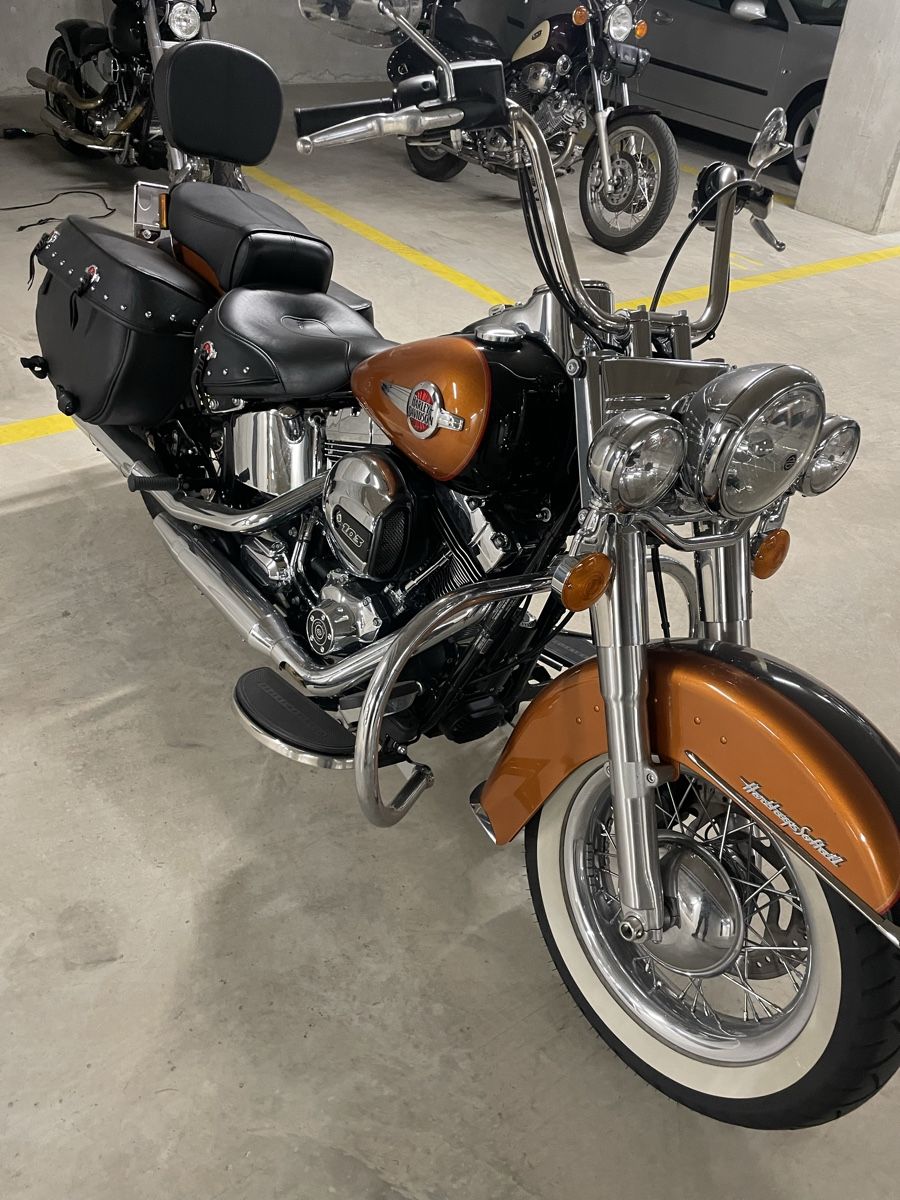 Harley-Davidson Chopper: Harley Davidson FLSTC – Gebraucht aus Huttwil von boumi06