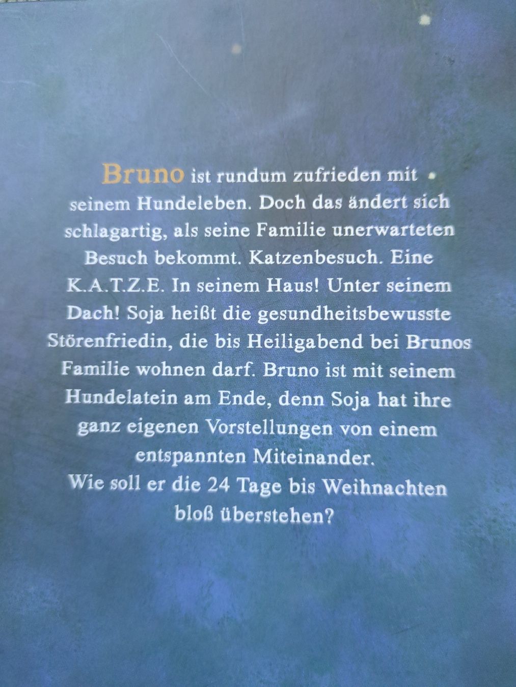 Bücher: Adventsbuch, mit 24 Kapiteln – Gebraucht aus Luzern von reg_dq65 1