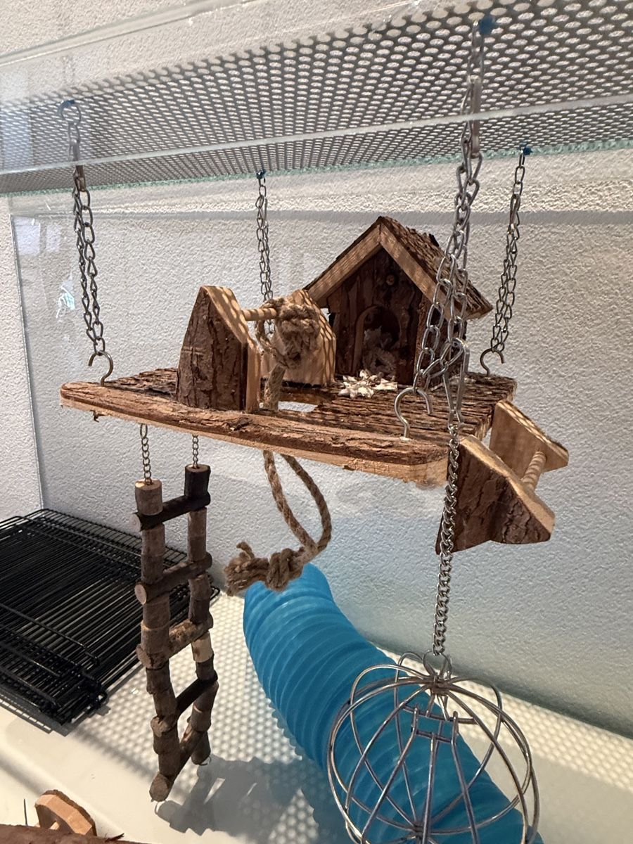 Terrariums: Hamsterkäfig mit Zubehör – D'occasion à Hägendorf par studedo01 5