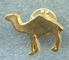 CAMEL  